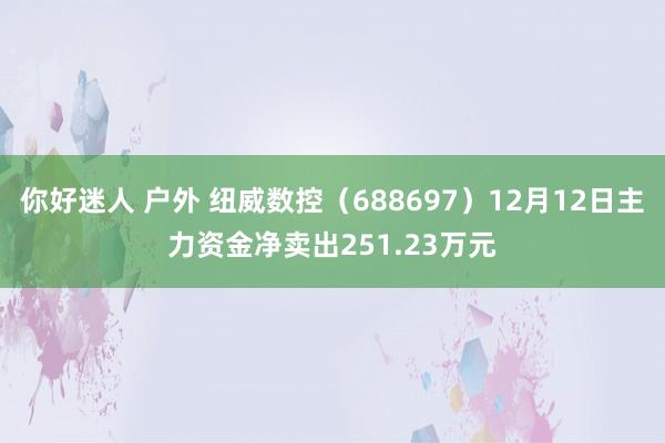 你好迷人 户外 纽威数控（688697）12月12日主力资金净卖出251.23万元