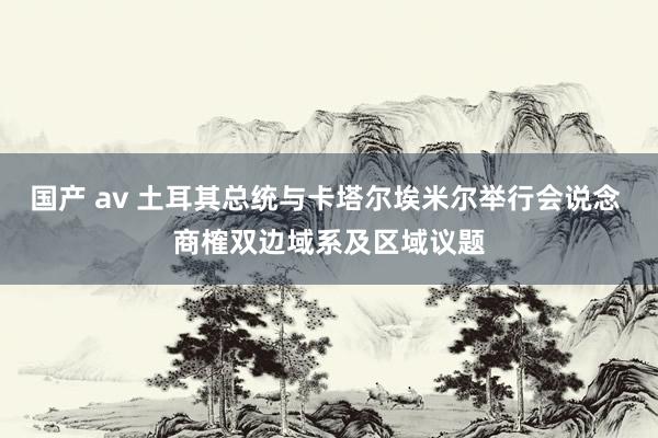 国产 av 土耳其总统与卡塔尔埃米尔举行会说念 商榷双边域系及区域议题