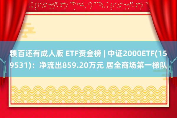 糗百还有成人版 ETF资金榜 | 中证2000ETF(159531)：净流出859.20万元 居全商场第一梯队