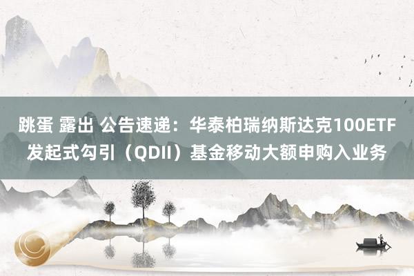 跳蛋 露出 公告速递：华泰柏瑞纳斯达克100ETF发起式勾引（QDII）基金移动大额申购入业务