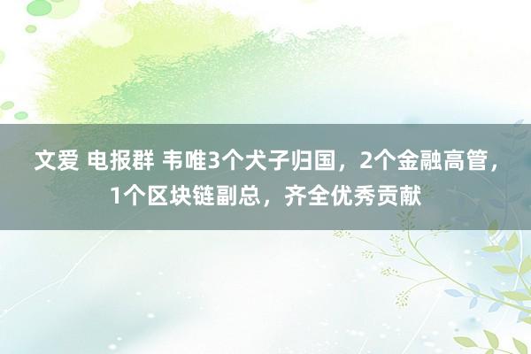 文爱 电报群 韦唯3个犬子归国，2个金融高管，1个区块链副总，齐全优秀贡献