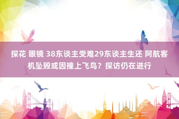 探花 眼镜 38东谈主受难29东谈主生还 阿航客机坠毁或因撞上飞鸟？探访仍在进行