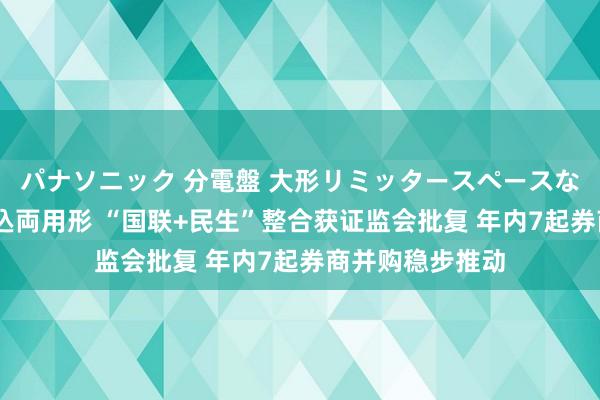 パナソニック 分電盤 大形リミッタースペースなし 露出・半埋込両用形 “国联+民生”整合获证监会批复 年内7起券商并购稳步推动