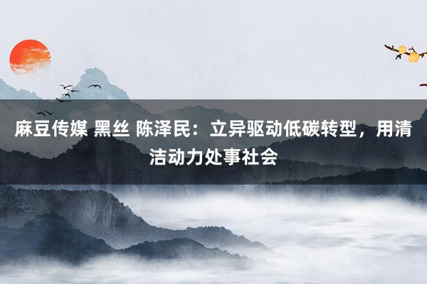 麻豆传媒 黑丝 陈泽民：立异驱动低碳转型，用清洁动力处事社会