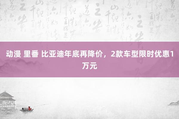 动漫 里番 比亚迪年底再降价，2款车型限时优惠1万元