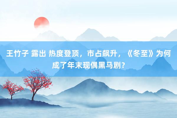 王竹子 露出 热度登顶，市占飙升，《冬至》为何成了年末现偶黑马剧？