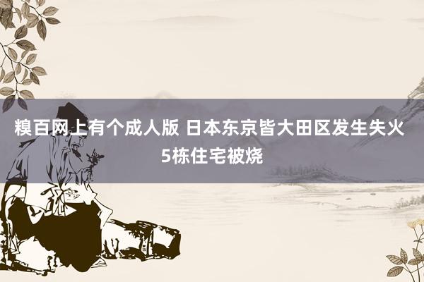 糗百网上有个成人版 日本东京皆大田区发生失火 5栋住宅被烧