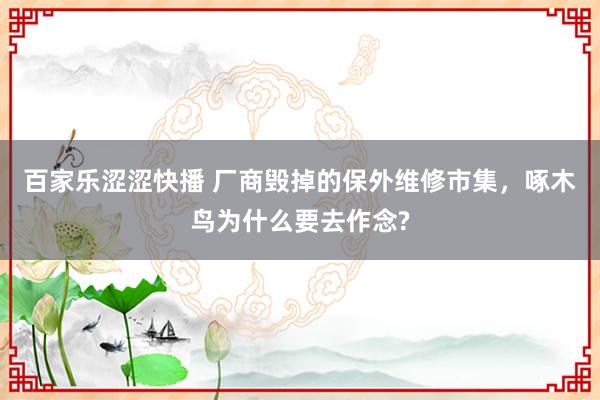 百家乐涩涩快播 厂商毁掉的保外维修市集，啄木鸟为什么要去作念?