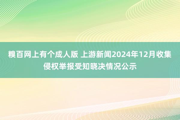 糗百网上有个成人版 上游新闻2024年12月收集侵权举报受知晓决情况公示