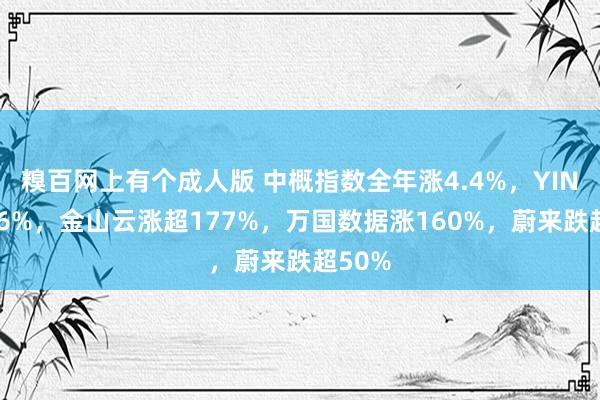 糗百网上有个成人版 中概指数全年涨4.4%，YINN涨36%，金山云涨超177%，万国数据涨160%，蔚来跌超50%