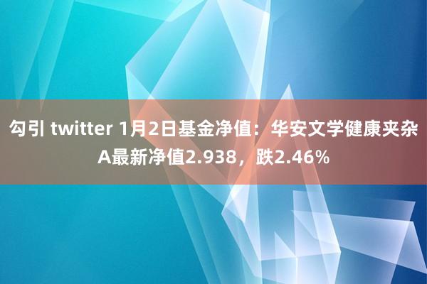 勾引 twitter 1月2日基金净值：华安文学健康夹杂A最新净值2.938，跌2.46%