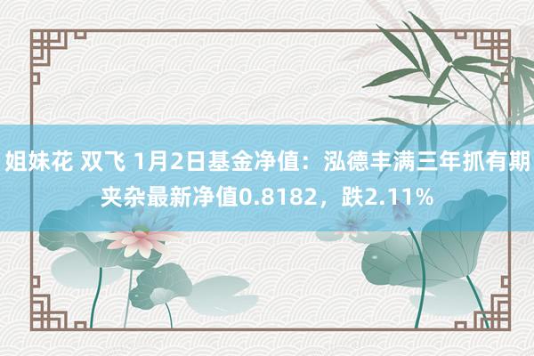 姐妹花 双飞 1月2日基金净值：泓德丰满三年抓有期夹杂最新净值0.8182，跌2.11%