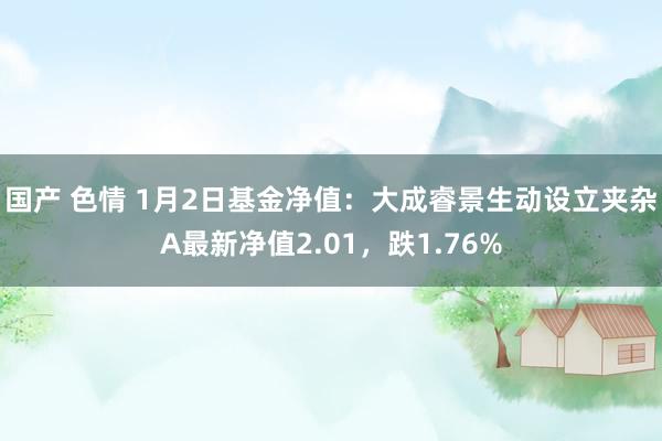 国产 色情 1月2日基金净值：大成睿景生动设立夹杂A最新净值2.01，跌1.76%