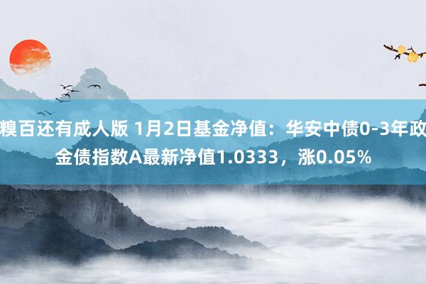 糗百还有成人版 1月2日基金净值：华安中债0-3年政金债指数A最新净值1.0333，涨0.05%