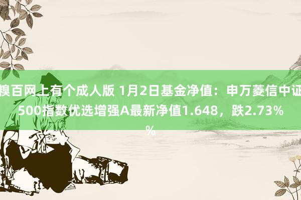 糗百网上有个成人版 1月2日基金净值：申万菱信中证500指数优选增强A最新净值1.648，跌2.73%