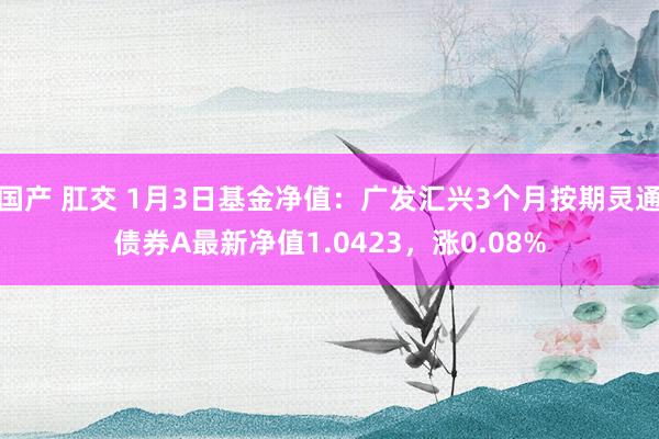 国产 肛交 1月3日基金净值：广发汇兴3个月按期灵通债券A最新净值1.0423，涨0.08%