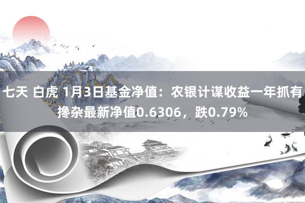 七天 白虎 1月3日基金净值：农银计谋收益一年抓有搀杂最新净值0.6306，跌0.79%