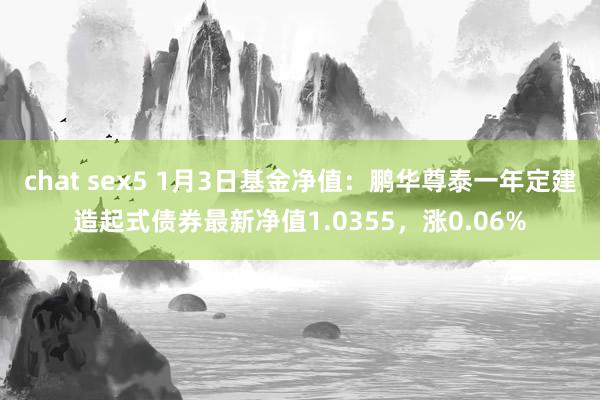 chat sex5 1月3日基金净值：鹏华尊泰一年定建造起式债券最新净值1.0355，涨0.06%