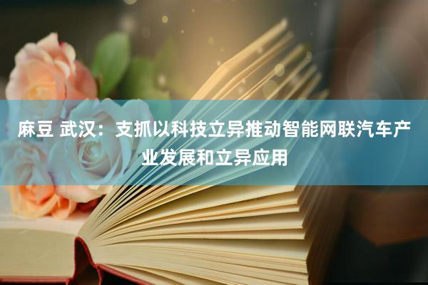 麻豆 武汉：支抓以科技立异推动智能网联汽车产业发展和立异应用