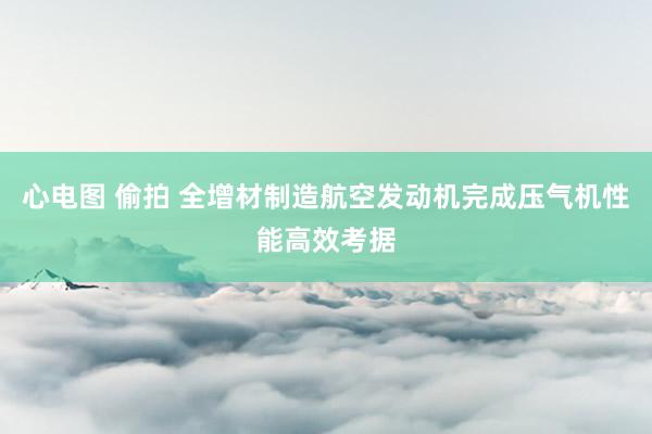 心电图 偷拍 全增材制造航空发动机完成压气机性能高效考据