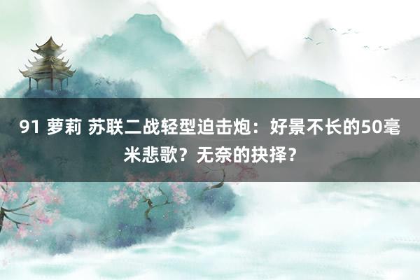 91 萝莉 苏联二战轻型迫击炮：好景不长的50毫米悲歌？无奈的抉择？