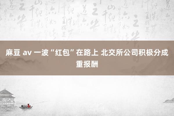 麻豆 av 一波“红包”在路上 北交所公司积极分成重报酬