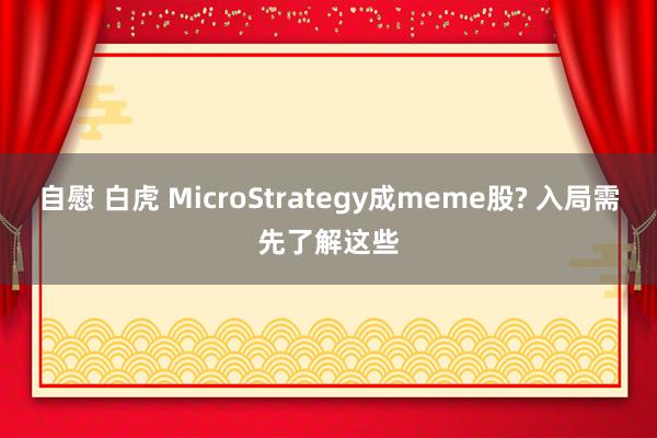 自慰 白虎 MicroStrategy成meme股? 入局需先了解这些