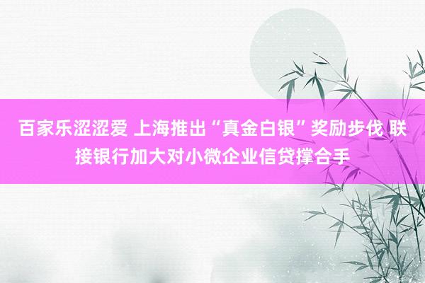 百家乐涩涩爱 上海推出“真金白银”奖励步伐 联接银行加大对小微企业信贷撑合手