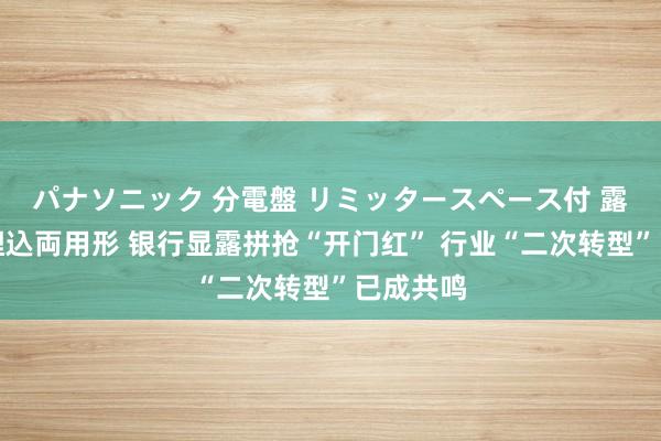 パナソニック 分電盤 リミッタースペース付 露出・半埋込両用形 银行显露拼抢“开门红” 行业“二次转型”已成共鸣