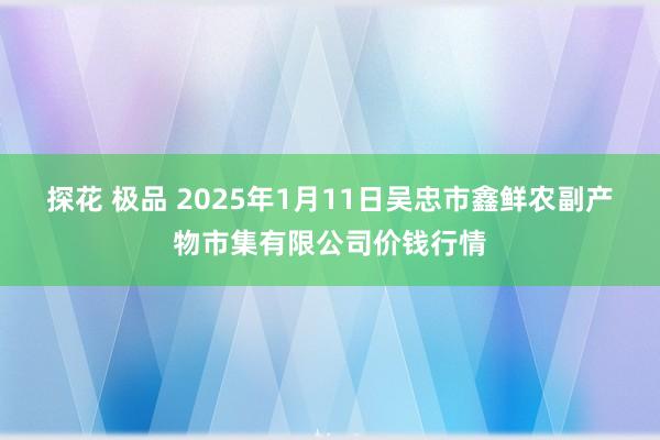 探花 极品 2025年1月11日吴忠市鑫鲜农副产物市集有限公司价钱行情