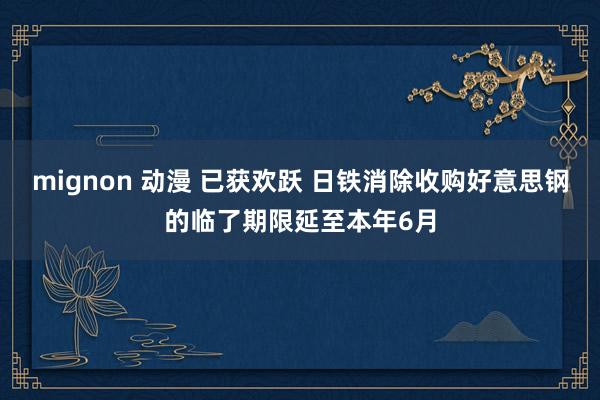 mignon 动漫 已获欢跃 日铁消除收购好意思钢的临了期限延至本年6月