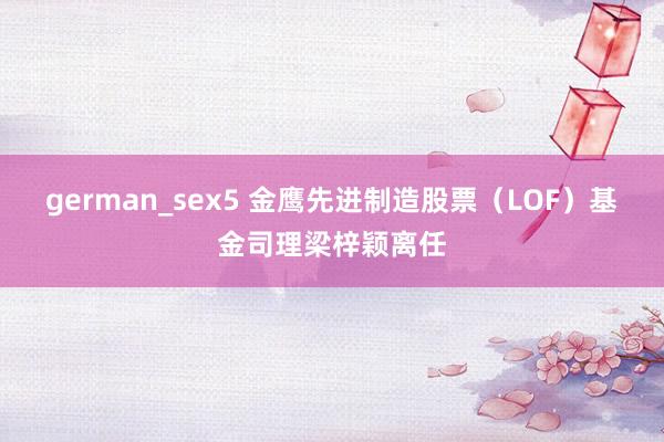 german_sex5 金鹰先进制造股票（LOF）基金司理梁梓颖离任