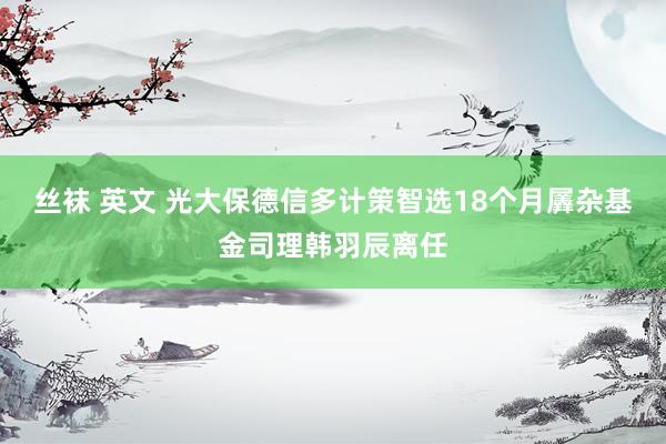 丝袜 英文 光大保德信多计策智选18个月羼杂基金司理韩羽辰离任