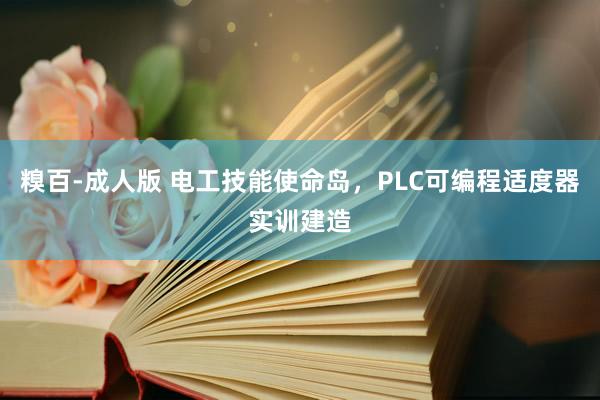 糗百-成人版 电工技能使命岛，PLC可编程适度器实训建造