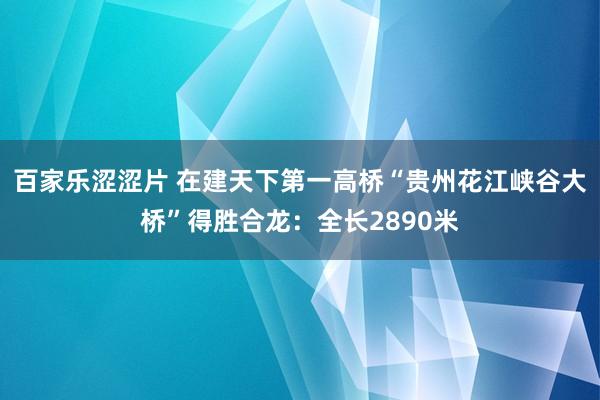 百家乐涩涩片 在建天下第一高桥“贵州花江峡谷大桥”得胜合龙：全长2890米